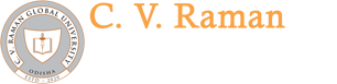 CV Raman College of Engineering logo