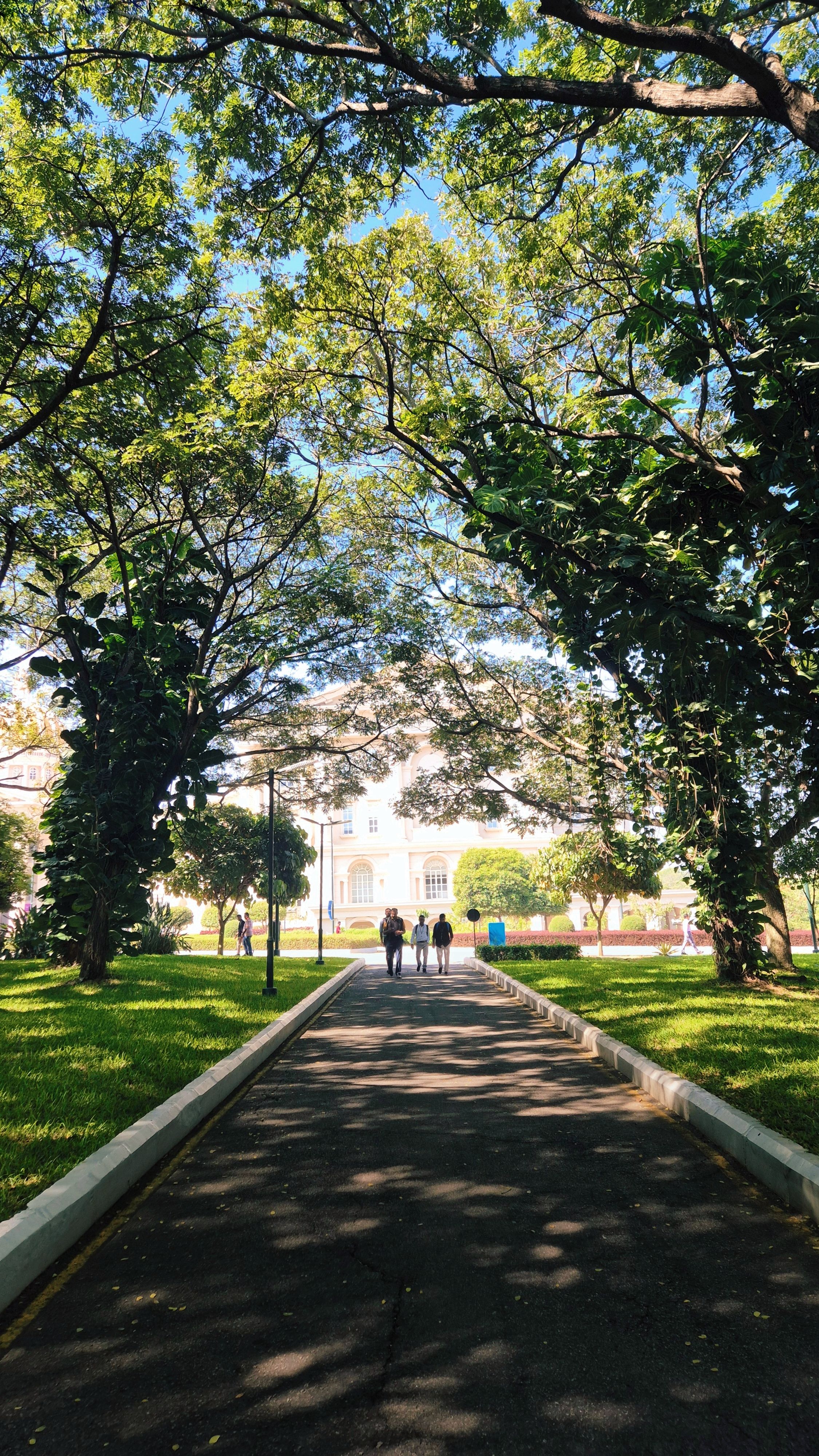 IIT Bombay Student Life: A Complete Guide for Freshers
